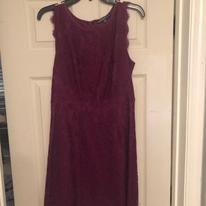 Brixton Ivy Medina Stretch Lace Dress